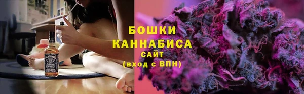 ПСИЛОЦИБИНОВЫЕ ГРИБЫ Горнозаводск