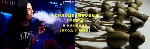 мет Горно-Алтайск