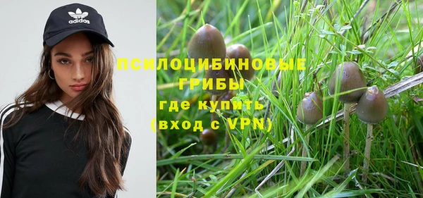 не бодяженный Горняк