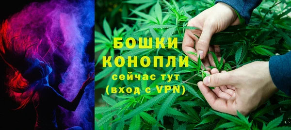 ПСИЛОЦИБИНОВЫЕ ГРИБЫ Горнозаводск